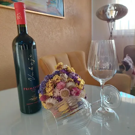 Stan Na Dan Banovic * 비옐리나